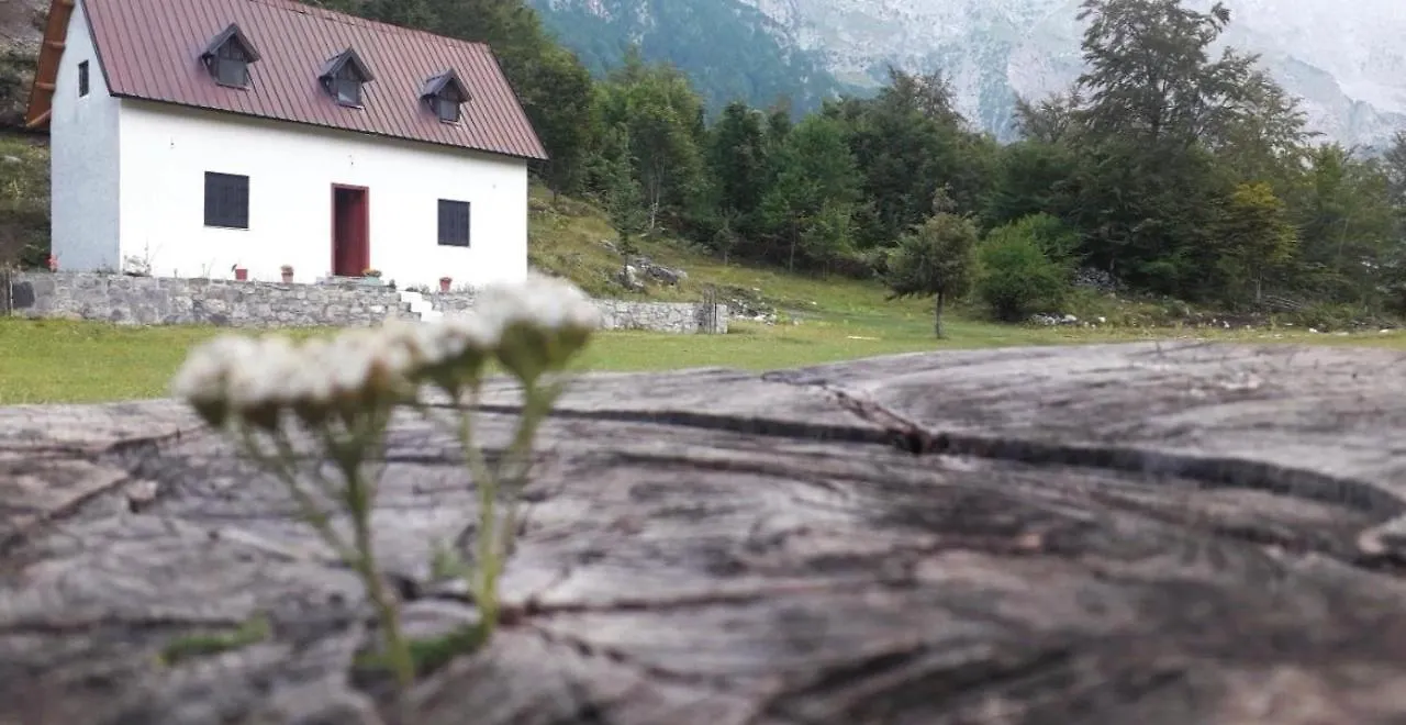 Guest house Guesthouse Freskia Theth