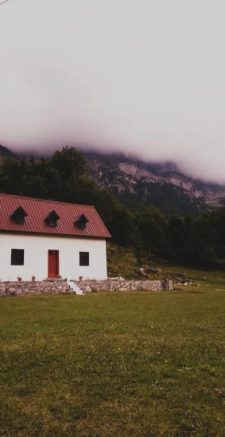 Guesthouse Freskia Theth 0*,  Albania