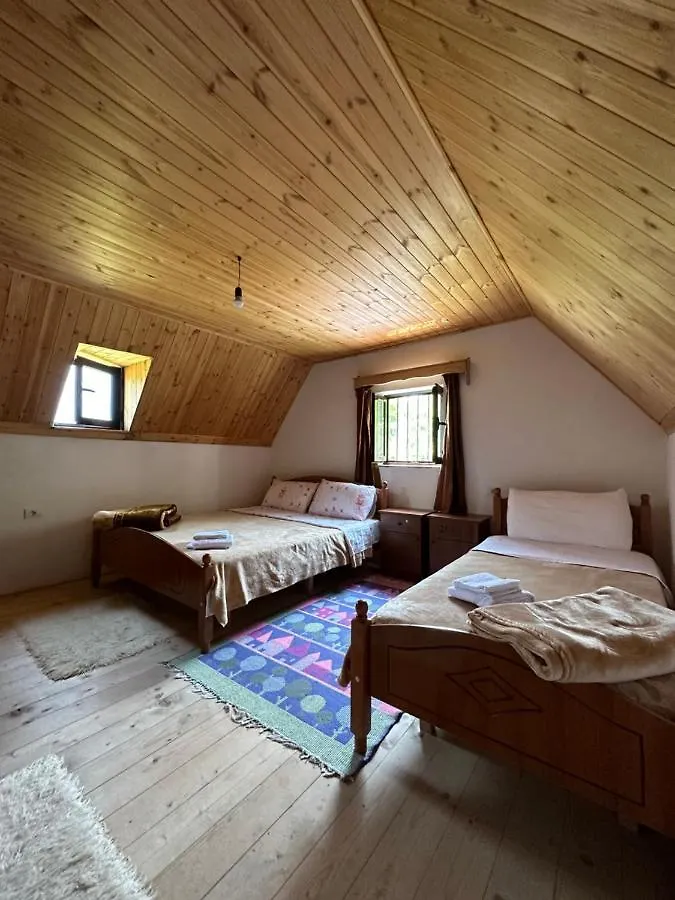 Guesthouse Freskia Theth 0*,